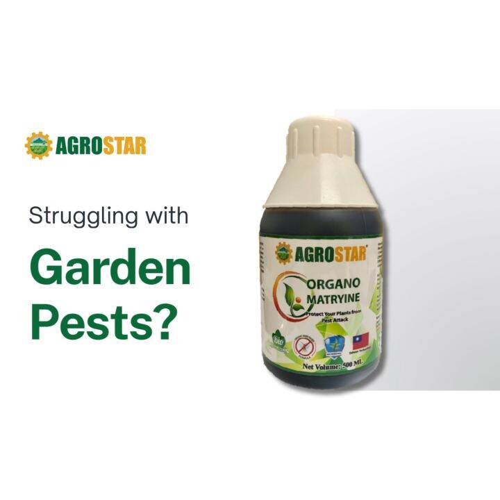 AGROSTAR Organo Matryine AGROSTAR Effective Organic Insecticide suitable for Vegetable