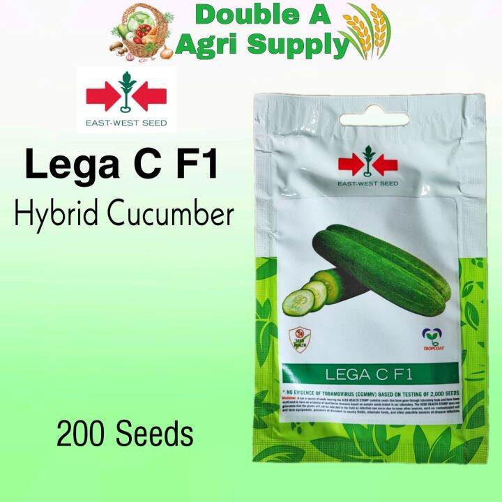 Lega C F1 Hybrid Cucumber Asenso Pack - East West Seed | Lazada PH