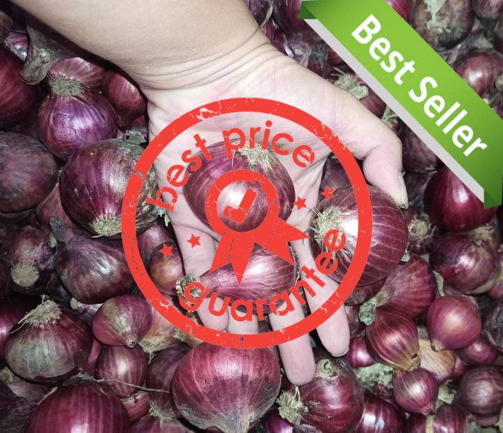 Sibuyas/onion Tagalog 1/2kilo ASSORTED (BE RESPONSIBLE SA PAG OORDER NO