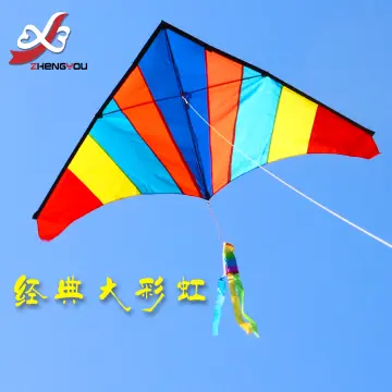 Big Kite For Children - Best Price in Singapore - Apr 2024