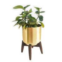 กระถางต้นไม้​ แสตนเลสสีทองด้าน​ รุ่น​ Rotterdam​ ขาไม้​ Flower​ pot with wood stand
