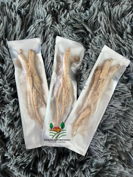 โสม-ginseng-โสมเกาหลีแท้-โสมเกาหลีแห้งaaa-คละไซส์-กลิ่นหอม-บำรุงหัวใจลดคอเลสเตอรอลสูง