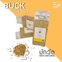 Buckwheat บักวีต เมล็ดบักวีตปลอดสาร ออร์แกนิค100%ขนาด500กรัม