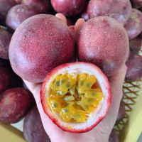 เสาวรสหวานพันธุ์ไทนุง (บรรจุ 1 กก.)เก็บสดจากสวนเชียงราย Passion Fruit