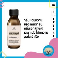 หัวน้ำหอม A&amp;Y กลิ่นแคนตาลูป ขนาด30ml.