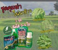 ชุดคุมฆ่าในนาข้าว??อายุข้าว 7-14 วัน ข้าวไม่แดง(โคลมาโซล+โพรพานิล,โพลีบีส,ไทอะมีทอกแซม,จับใบ)