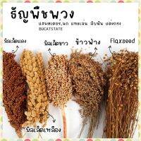 (BUCATSTATE)ธัญพืชสำหรับสัตว์เลี้ยง แฮมสเตอร์ นก