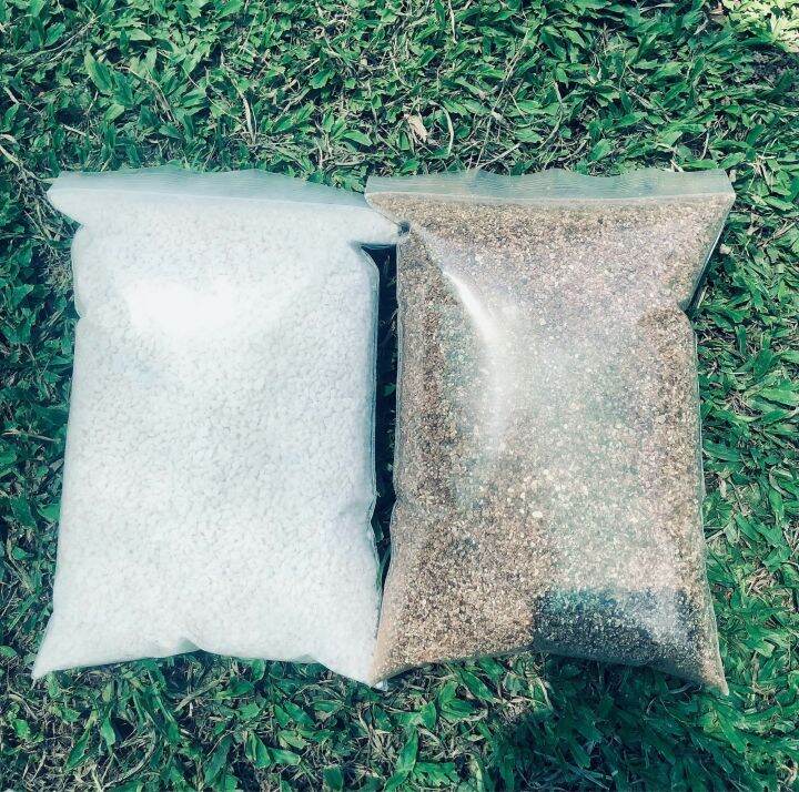 รวม-6-ลิตร-เวอร์มิคูไลท์-vermiculite-บวก-เพอร์ไลท์-perlite-แพ็คคู่-3-3