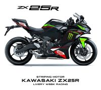 รูปแบบการเปลื้องผ้า Zx25r คาวาซากิ/คาวาซากินินจา ZX 25R