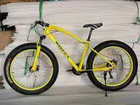 sofia fat bike price