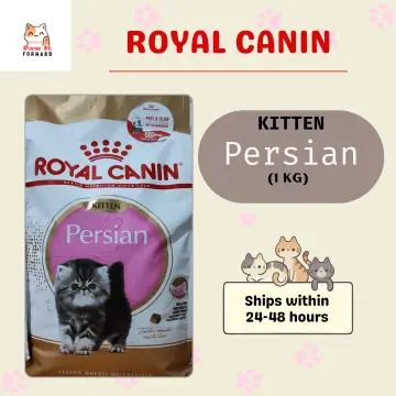 Royal canin cat food persian outlet kitten