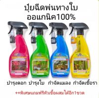 ช่องาม สเปรย์500มล.ปุ๋ยฮอร์โมนพืชทางใบพร้อมใช้ สมุนไพรกำจัดแมลง สมุนไพรกำจัดเชื้อรา ออแกนิค100% ปุ๋ยบำรุงดอก ปุ๋ยบำรุงใบ