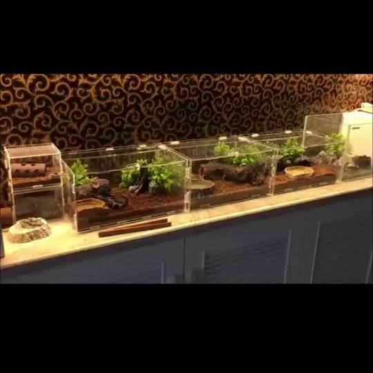 PawHut Glass Reptile Terrarium Insect Breeding Tank With Thermometer For Lizards Large 69170608