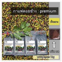 กาแฟอาราบิก้า ดอยช้าง คั่วกลาง 4ถุง 1gk (ชนิดบด) arabica 100%