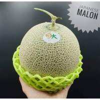 เมล่อน เมล่อนญี่ปุ่น Melon เนื้อหวาน หอม ละมุน (ขนาด 1.5 -2.1kg/ลูก)