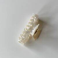 gimmeblessed.co — choux cream hair claws (size 9x4 cm)