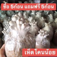 เห็ดโคนน้อย 5ก้อน( แถมฟรี5ก้อน)