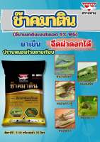 ปราบหนอน อีมาเมกตินเบนโซเอต 5% WG ขนาด 100 กรัม