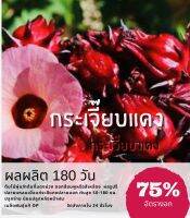 เมล็ดกระเจี้ยบแดง (ซื้อ 10 แถม 1 คละอย่างได้)