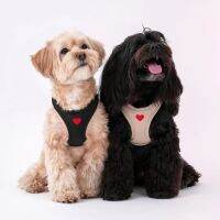 Puppy Gallery Weather proof harness ใหม่ ! ฮาเนส เสื้อรัดอกสุนัขรุ่นกันน้ำและระบบระบายอากาศในตัว น้ำหนักเบา สัมผัสนุ่ม ไม่บาดผิว ดีไซน์สดใสน่ารัก