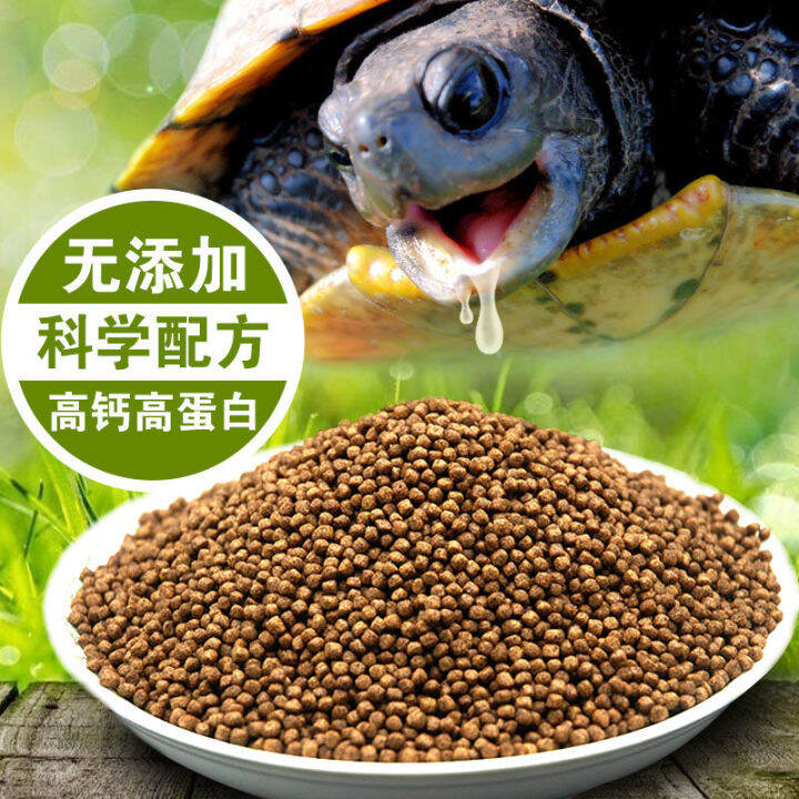 Turtle Food Turtle Feed Brazilian Turtle Grass Tortoise Food SemiWater