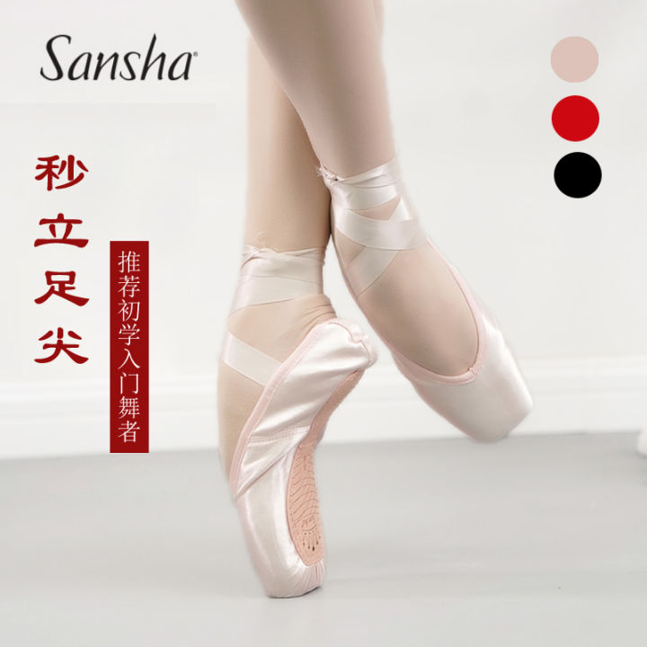 Pointe on sale shoes lazada