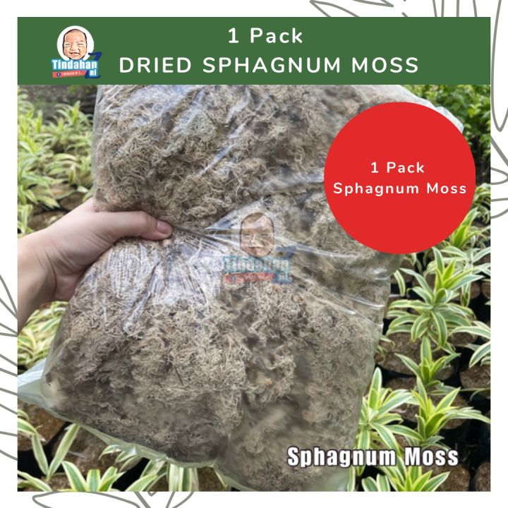 Dried Sphagnum Moss | Lazada PH