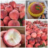 พร้อมส่ง‼️ 1KG ?ลูกพีชสายพันธุ์ญี่ปุ่นหอมๆฟินๆ พีชสด พีชน้ำผึ้ง peach?