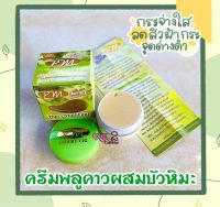 ครีมพลูคาวผสมบัวหิมะ PM Cosmetic ขนาด 7 กรัม