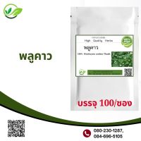 Popaya herb สมุนไพรเสริมภูมิคุ้มกัน Plu Kaow100% บรรจุ 100cap