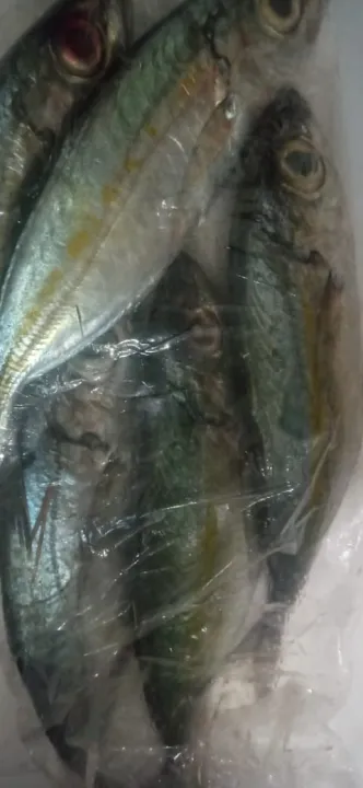 Ikan Kembung Banjar Fresh 1kg Lazada Indonesia