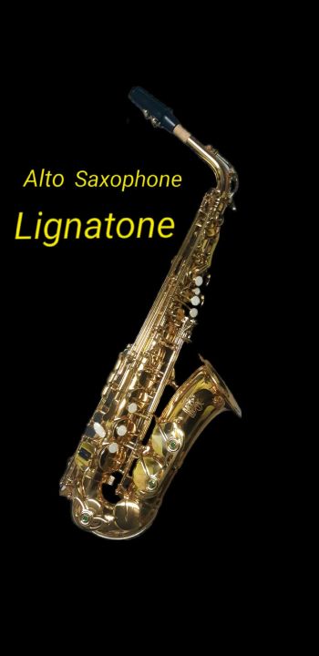 alto-saxophone