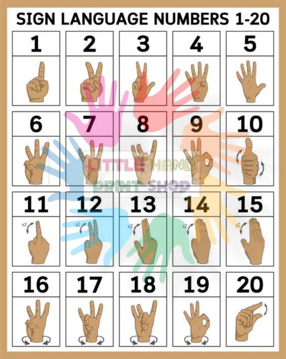1-20 Sign Numbers A4 Laminated | Lazada Ph