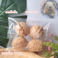 [ 4 ลูก ] วอลนัท walnuts เกรดคุณภาพ แทะลับฟัน สำหรับสัตว์ฟันแทะ กระรอก ชูก้า ชูการ์ไกรเดอร์ นก หนู