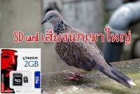 sd card เสียงนกเขาใหญ่ เข้าแน่นอน ใช้ไม่ได้ยินดีคืนเงิน