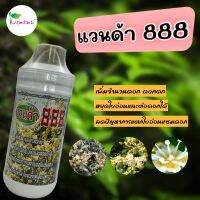 แวนด้า 888 ดอกดก หยุดใบอ่อน ลดปัญหาการแตกใบอ่อนแซมดอก