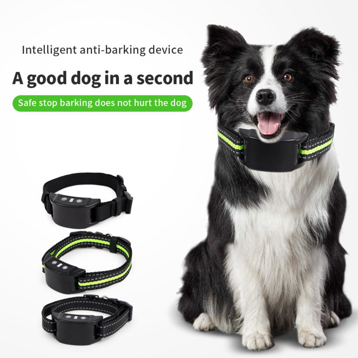 Dog shock best sale collar with sensor