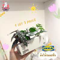 ใหม่!??FEJKA เฟคก้า ไม้ประดิษฐ์ในกระถาง 3 ชิ้นจาก ikea ต้นไม้ปลอมตกแต่งบ้าน สินค้าคุณภาพดี น่ารักมากๆเลยค่า