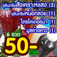 จุลินทรีย์ 4 สหาย ชุดที่1