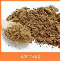 กานพลูผง ผงกานพลู   กานพลูป่น กานพลู  Clove Powder  ขนาด 500 กรัม