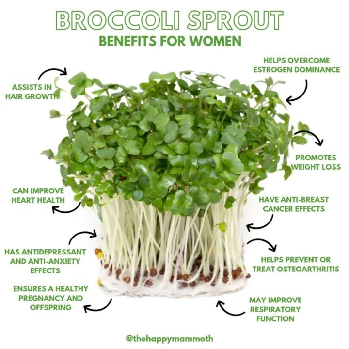 broccoli-sprout-powder-organic-ขนาด-250-กรัม-ผงต้นอ่อนบร็อคโคลี่-ผงบร็อคโคลี่-บล็อคโคลี่ผง-ออแกนิค-คัดคุณภาพ