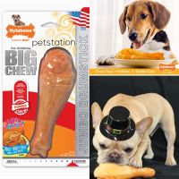 Nylabone Power Chew ของเล่นขัดฟัน Drumstick