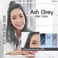 Berina A1,A21,A38(รวม 3 กล่อง)สี Ash Grey