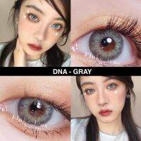 มินิเลนส์ DNA สีเทา สีน้ำตาล