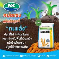 เมล็ดพันธุ์ข้าวโพด เอ็นเค 6848 3.5 หุน 10 กก. สู้แล้ง ผลผลิตสูง