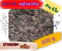 หญ้าเฉาก๊วยแห้ง ใบผสมก้าน 500 กรัม ต้มแล้วยางเยอะเหนัยวหนึบ