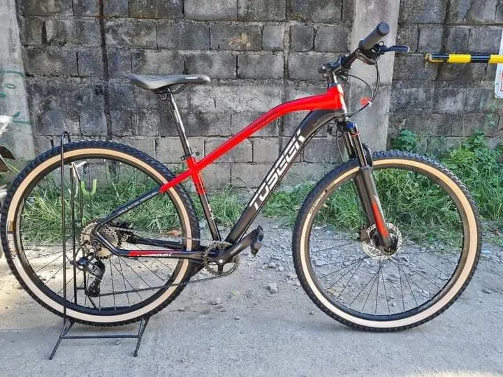 toseek brandon 29er