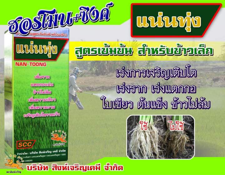 ผลิตภัณฑือาหารเสริมสูตรเข้มข้นสำหรับนาข้าว-ตรา-แน่นทุ่ง-ปริมาณสุทธิ1000มิลลิลิตร