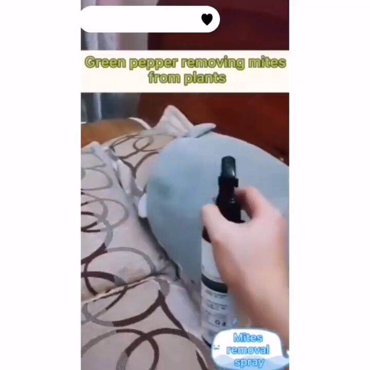 Natural Plant Green Pepper Mite Removal Spray Nontoxic Natural Remove