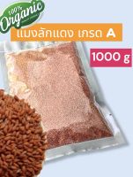 แมงลักแดง เกรด A (ออแกนิก) น้ำหนัก 1000 g